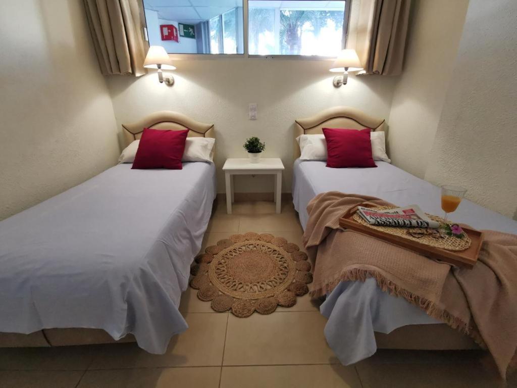 Cherry Top Cake Apartment Playa del Ingles  Dış mekan fotoğraf